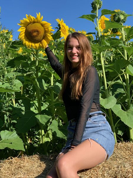 File:Sunflower field.jpg