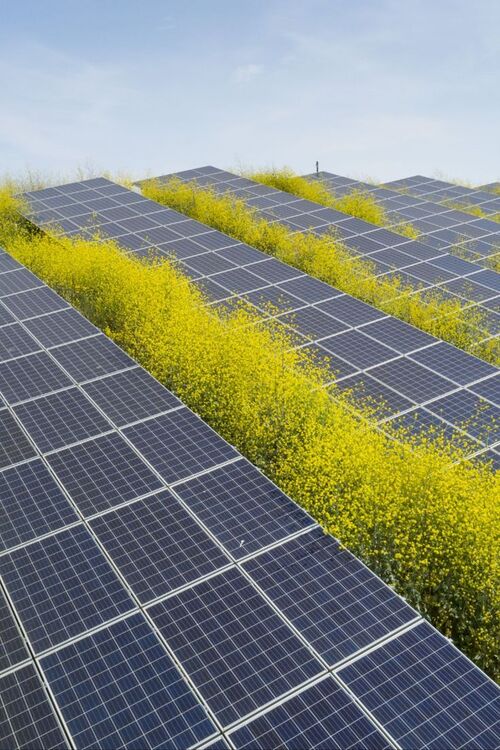 File:Agrivoltaics and the Benefits.jpg