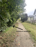 Figure 3-2: Photo of Upstream Janes Creek (trail).