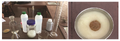 Thumbnail for version as of 05:28, 2 November 2021