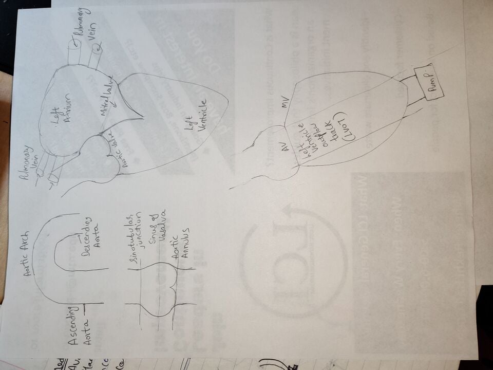 File:Projectideas.jpg