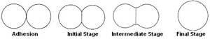 300px-Sintering_Stages.JPG
