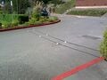 The J parking Lot set up.