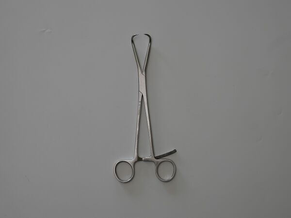 File:Bone Reduction Forceps.jpg
