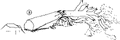 Thumbnail for version as of 01:26, 6 January 2007