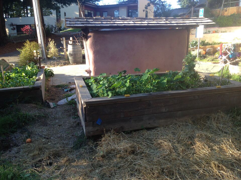 File:CCATRaisedBeds1&2.JPG