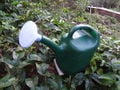 Watering can nozzel