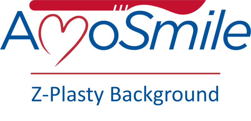 File:Logo for Z-Plasty Background Page.png