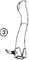 Thumbnail for version as of 01:26, 6 January 2007