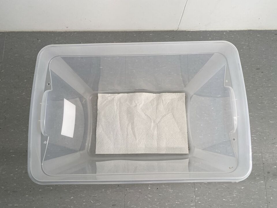 File:Q.jpg