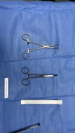Artery forceps, second view