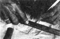Thumbnail for version as of 01:23, 6 January 2007