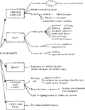 Thumbnail for version as of 01:26, 6 January 2007
