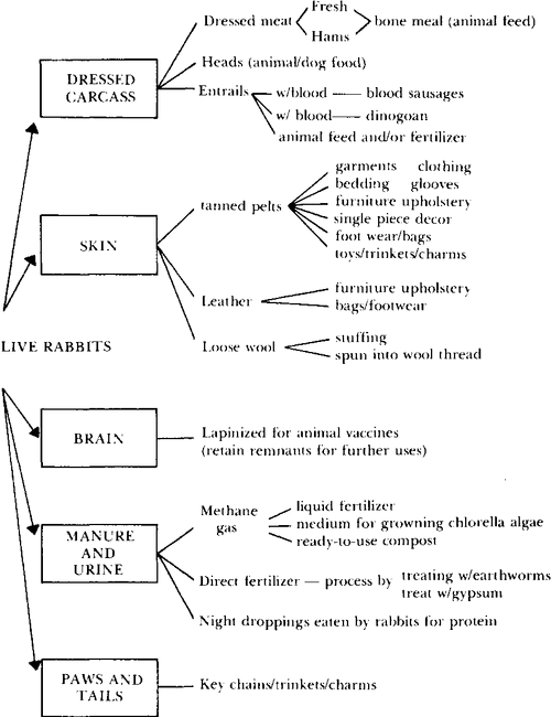 File:P89.GIF