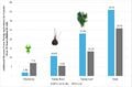 Effects of Thin-Film and Wafer-Based Photovoltaic Module Transparency and Spectral Properties on Microclimate and Turnip Yield in Agrivoltaic Systems