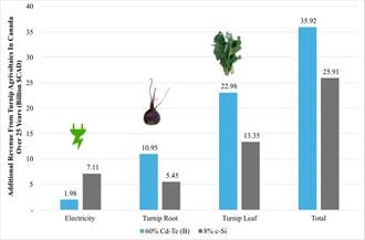 Effects of Thin-Film and Wafer-Based Photovoltaic Module Transparency and Spectral Properties on Microclimate and Turnip Yield in Agrivoltaic Systems