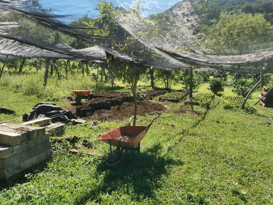 File:LA MONTAÑONA 6.jpg