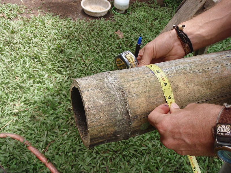 File:Measuring, bamboo planter 068.jpg