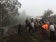 Pocket orchard A pocket orchard learning area retained by over 70 feet of gabions, leveled with over six dumptrucks of soil, and planted with 3 of an eventual 6 fruit trees.