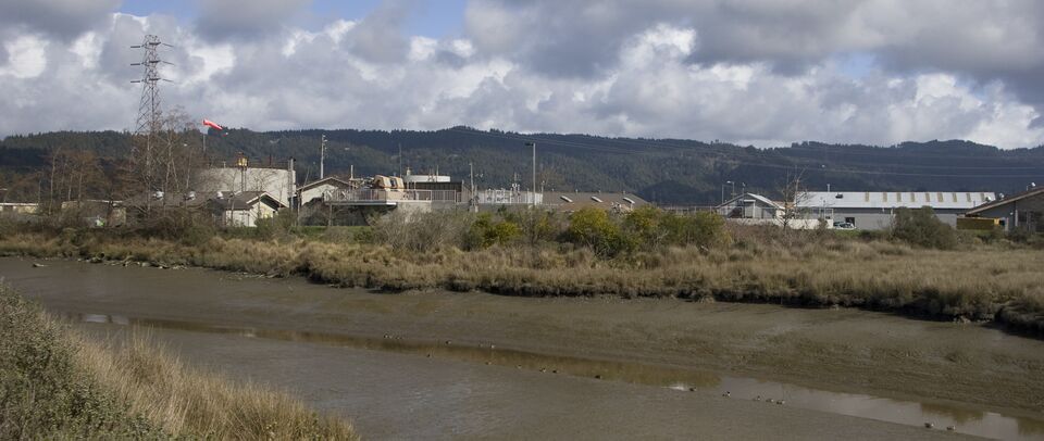 File:Arcata-6772.jpg
