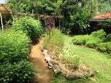 Organic gardens