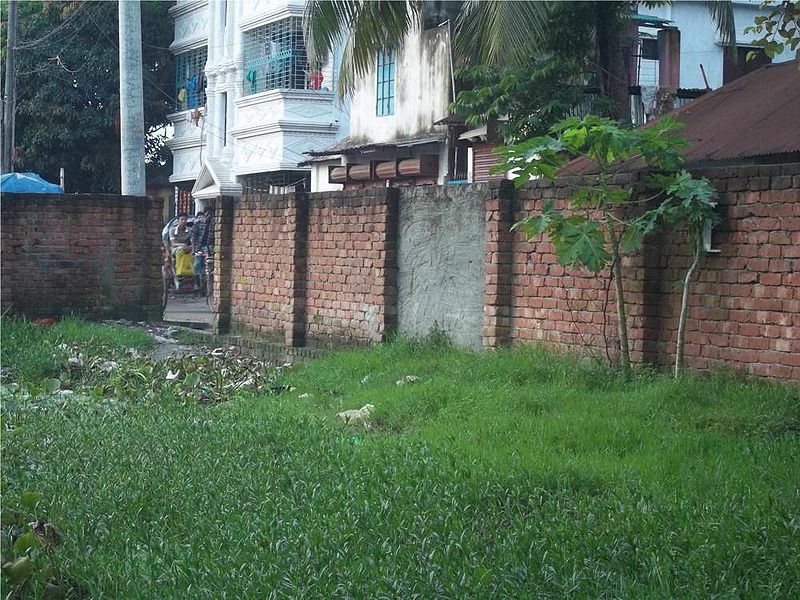 File:2011-08-13 Pair of Guerilla gardened papayas in Dhaka, Bangladesh.jpg