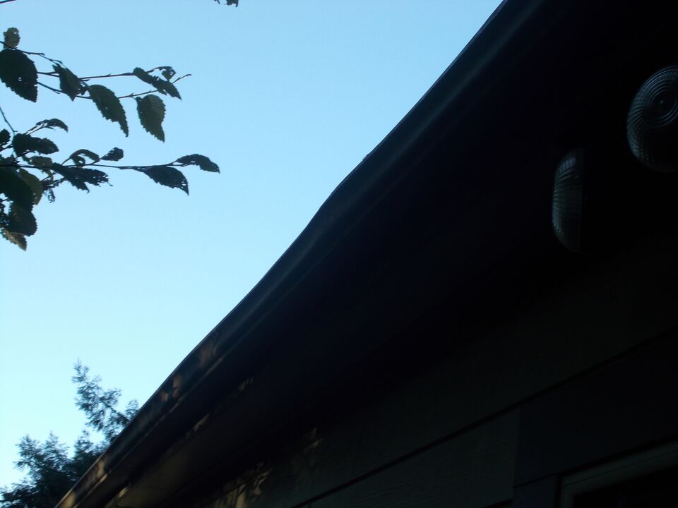 File:Arcata blues 073.JPG