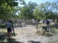 Fig 1: Here the students of the Parras 2006 program are clearing the area where the adobe bricks are going to be constructed. A majority of organic matter is removed so that it does not get mixed into the adobe. The ground both where the adobe materials are mixed and where the adobes dry is leveled. This allows for even drying of the adobes and a much smoother process.