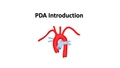 Document PDA Procedure Overview.pdf