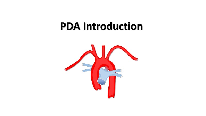 File:Document PDA Procedure Overview.pdf