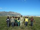 Harmony Flats Nature Reserve - city of Cape Town.jpg