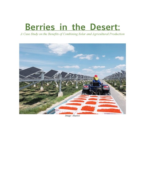 File:Berries in the Desert Hayashida.pdf