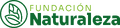Thumbnail for version as of 21:21, 26 October 2024
