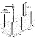 Thumbnail for version as of 01:24, 6 January 2007