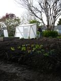 Garden context.
