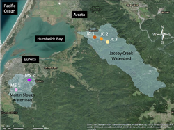 Figure 1: Map showing both watersheds that were analyzed in this study, Martin Slough and Jacoby Creek, and their relation to one another (ArcMap 2021, StreamStats 2021).