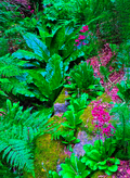 Thumbnail for version as of 09:57, 25 February 2016