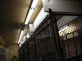 Figure 3 Lighting in some kennel areas were upgraded as well. (Photo courtesy of B. Reilly)