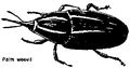 Thumbnail for version as of 01:25, 6 January 2007