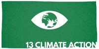 SDG-13-homepage.jpg