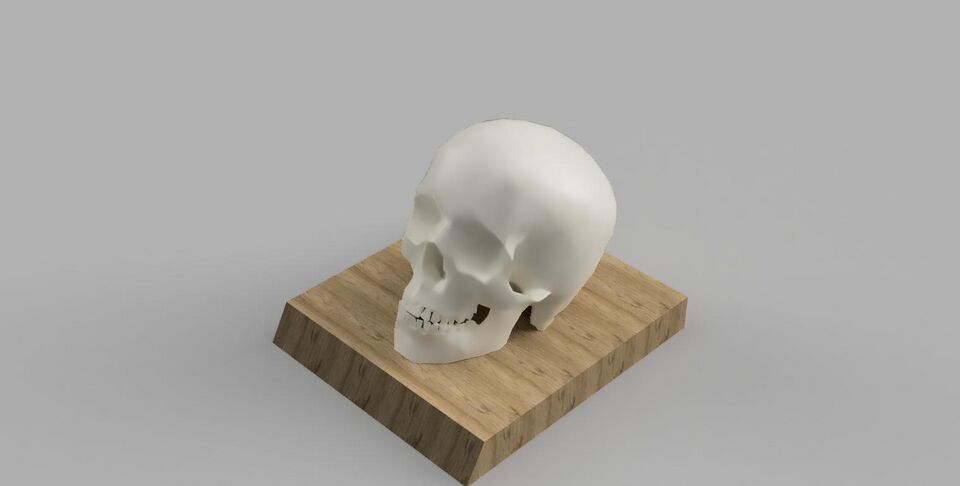 File:Skull Trophy .jpg