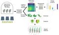 Lighting Energy and Revenue Analysis in an Agrivoltaic Agrotunnel for Lettuce and Swiss Chard Production