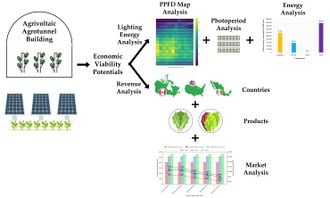 Lighting Energy and Revenue Analysis in an Agrivoltaic Agrotunnel for Lettuce and Swiss Chard Production