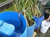 Air Ship Air City rooftop greywater filtration A rooftop greywater filtration system