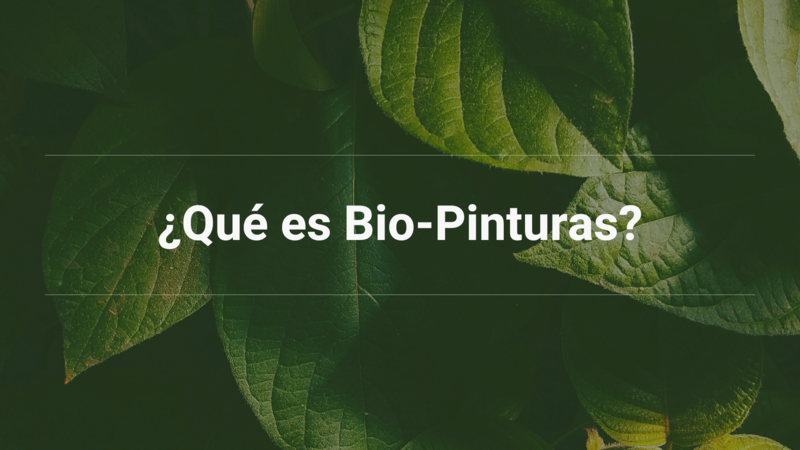 File:Bio-Pinturas 3.png