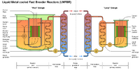 A schematic of the two types of liquid metal fast breeder reactor (LMFBR)