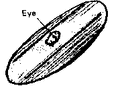 Thumbnail for version as of 01:27, 6 January 2007