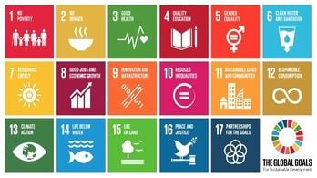 Open source powers the United Nations' sustainability goals