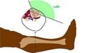 Thumbnail for version as of 17:45, 27 October 2022