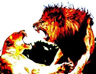 The Best Defense is a Good Offense: How to kill patent trolls before they are born